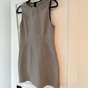 Everlane The Dream Shift Dress